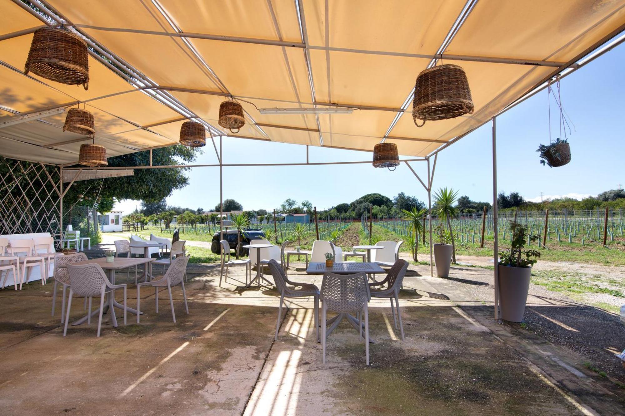 Casa Lavadeira - Vinhas De Nexe Villa ฟารู ภายนอก รูปภาพ
